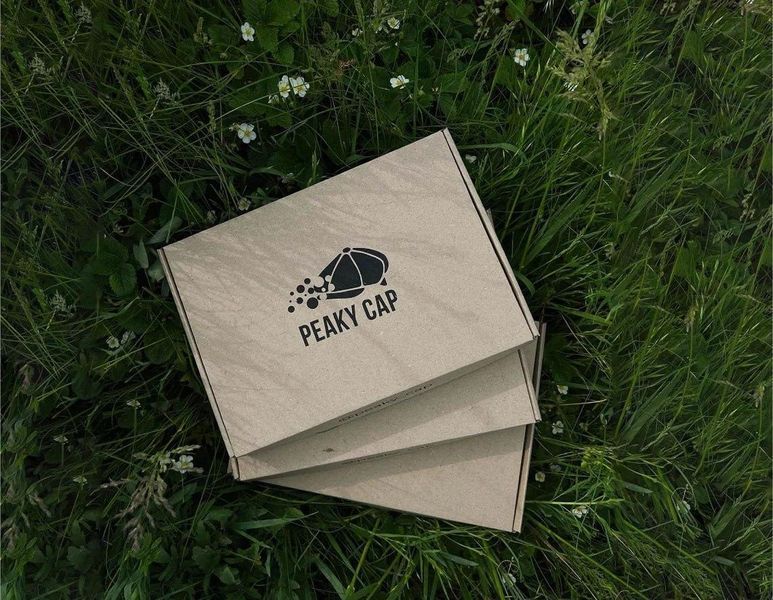 Кепка мужская восьмиклинка &laquo;Forest&raquo;, хулиганка, Острые козырьки (прямой козырек, подкладка хлопок), Р.48 480013184 фото